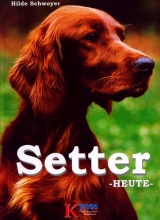Setter heute - Hilde Schwoyer
