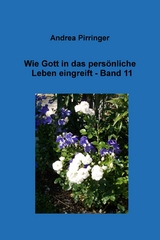 Wie Gott in das persönliche Leben eingreift - Band 11 - Andrea Pirringer