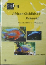 African Cichlids III /Malawi II - Schraml Erwin