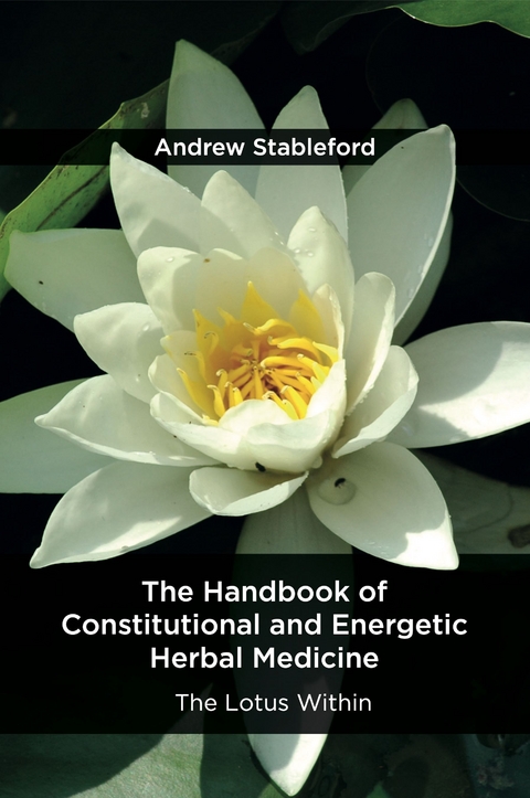 Handbook of Constitutional and Energetic Herbal Medicine -  Andrew Stableford