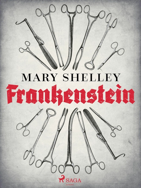 Frankenstein - Mary Shelley