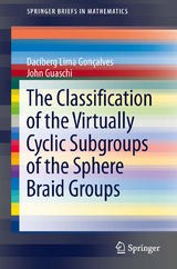 The Classification of the Virtually Cyclic Subgroups of the Sphere Braid Groups - Daciberg Lima Goncalves, John Guaschi