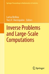 Inverse Problems and Large-Scale Computations - 