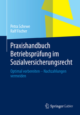 Praxishandbuch Betriebspr&uuml;fung im Sozialversicherungsrecht - Petra Schewe, Ralf Fischer