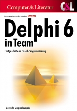 Delphi 6 in Team