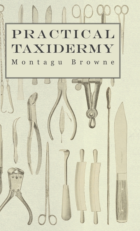 Practical Taxidermy - A Manual of Instruction to the Amateur in Collecting, Preserving, and Setting up Natural History Specimens of All Kinds. To Which is Added a Chapter Upon the Pictorial Arrangement of Museums - Montagu Browne