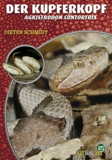 Der Kupferkopf - Dieter Schmidt