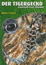 Der Tigergecko - Barts Mirko