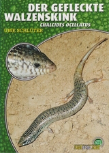 Der Gefleckte Walzenskink - Schl&uuml;ter Uwe