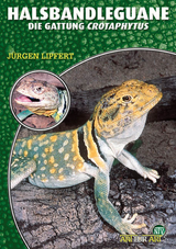 Halsbandleguane - J&uuml;rgen Lipfert