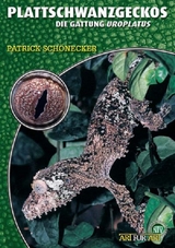 Plattschwanzgeckos - Patrick Sch&ouml;necker