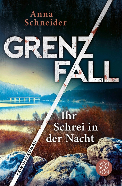 Grenzfall - Ihr Schrei in der Nacht - Anna Schneider