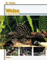 Welse - J&uuml;rgen Schmidt