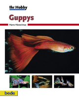 Ihr Hobby Guppys - Harro Hieronimus
