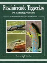 Faszinierende Taggeckos - Gerhard Hallmann, Jens Kr&uuml;ger, Gerd Trautmann