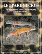 Leopardgeckos - Friedrich W Henkel, Michael Kn&ouml;thig, Wolfgang Schmidt