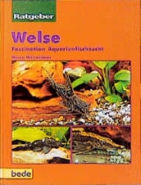 Ratgeber Welse - Harro Hieronimus