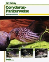 Ihr Hobby Corydoras - Panzerwelse - J Schmidt, H Hieronimus