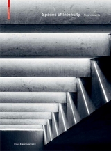 Spaces of Intensity - 