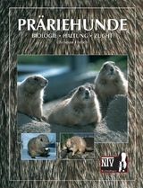Pr&auml;riehunde - Christian Ehrlich