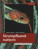Strumpfbandnattern - Martin Hallmen, J&uuml;rgen Chlebowy