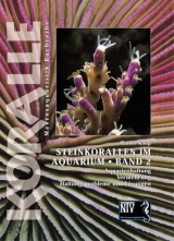 Steinkorallen im Aquarium - Daniel Knop