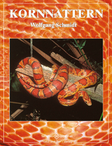 Kornnattern - Wolfgang Schmidt