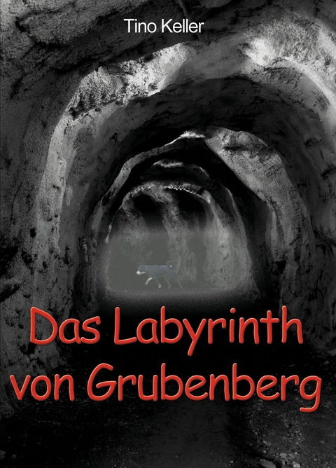 Das Labyrinth von Grubenberg - Tino Keller