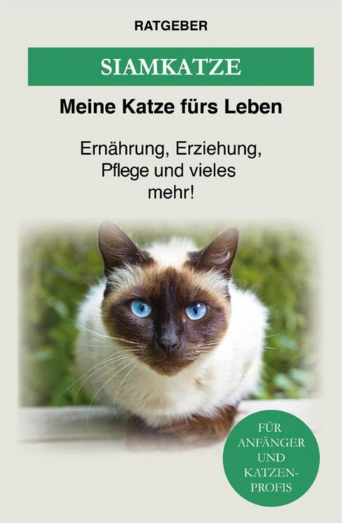 Siam Katze - Meine Katze f&uuml;rs Leben Ratgeber