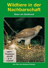 Wildtiere in der Nachbarschaft - Andreas Schulze