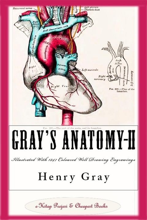 Gray's Anatomy-II -  Henry Gray