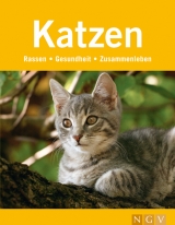 Katzen - Antje Breuer