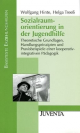 Sozialraumorientierung in der Jugendhilfe - Wolfgang Hinte, Helga Tree&szlig;