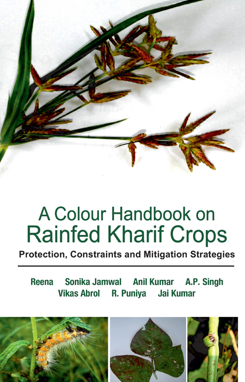 A Colour Handbook On Rainfed Kharif Crops -  Reena