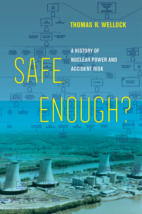 Safe Enough? - Thomas R. Wellock