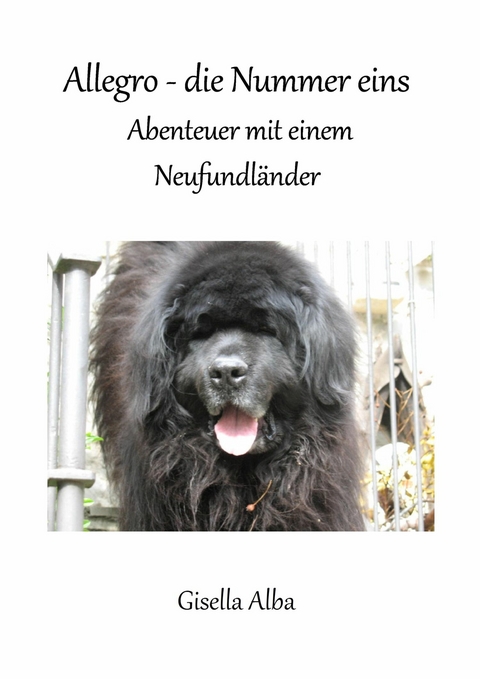 Allegro - die Nummer eins - Gisella Alba