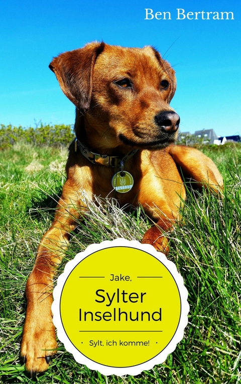 Sylt, ich komme! - Ben Bertram