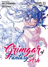 Grimgar of Fantasy and Ash: Volume 11 -  Ao Jyumonji