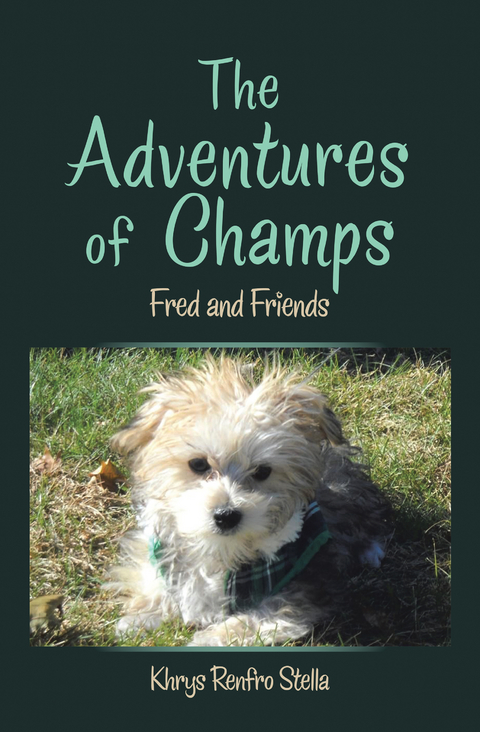 The Adventures of Champs - Khrys Renfro Stella