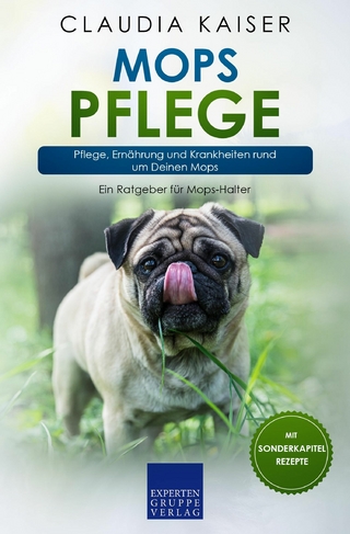 Mops Pflege