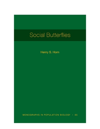 Social Butterflies