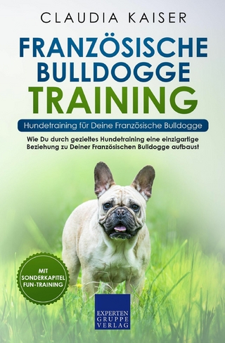 Französische Bulldogge Training – Hundetraining für Deine Französische Bulldogge