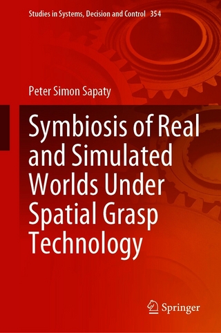 Symbiosis of Real and Simulated Worlds Under Spatial Grasp Technology