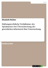 Haftungsrechtliche Verh&auml;ltnisse des Spitalsarztes bei &Uuml;berschreitung der gesetzlichen Arbeitszeit. Eine Untersuchung - Elisabeth Richter