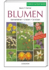 Blumen - Bruno P Kremer