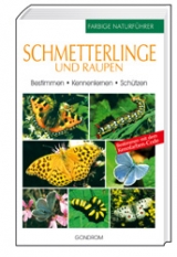 Schmetterlinge und Raupen - Thomas Ruckstuhl