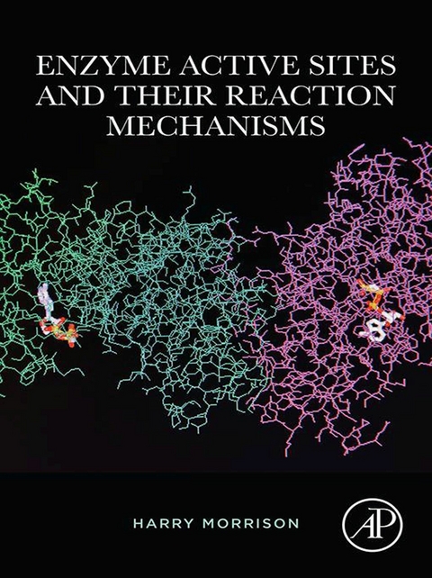 Enzyme Active Sites and their Reaction Mechanisms -  Harry Morrison
