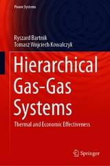 Hierarchical Gas-Gas Systems - Ryszard Bartnik, Tomasz Wojciech Kowalczyk