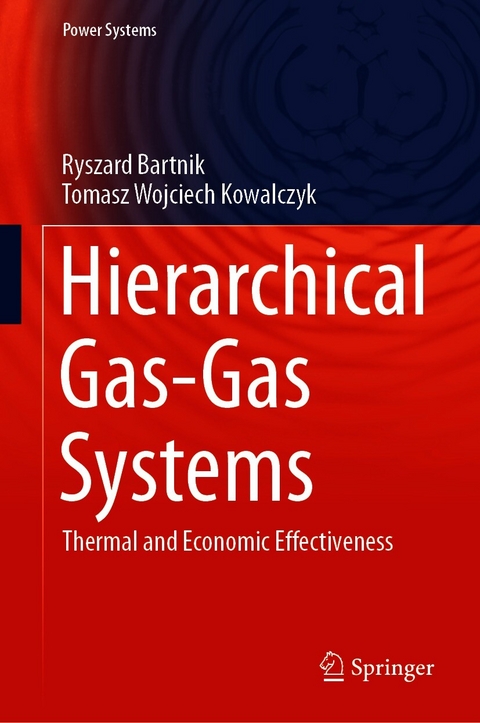 Hierarchical Gas-Gas Systems - Ryszard Bartnik, Tomasz Wojciech Kowalczyk