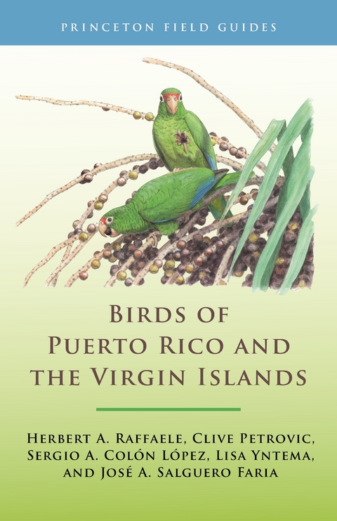 Birds of Puerto Rico and the Virgin Islands - Herbert A. Raffaele, Clive Petrovic, Sergio A. Col&oacute;n L&oacute;pez, Lisa D. Yntema, Jos&eacute; A. Salguero Faria